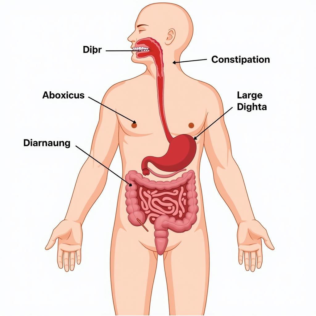 Hình minh họa hội chứng ruột kích thích