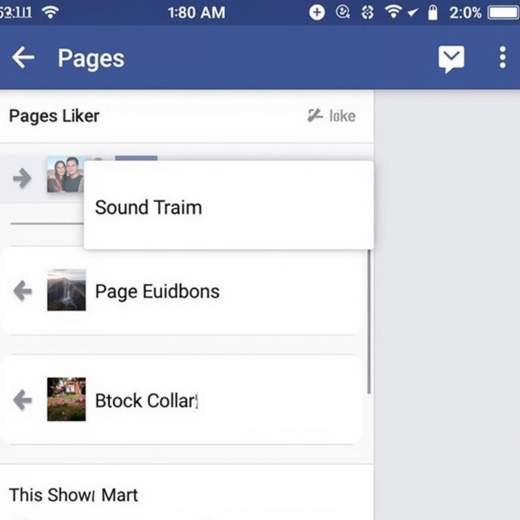 Exploring the list of liked pages