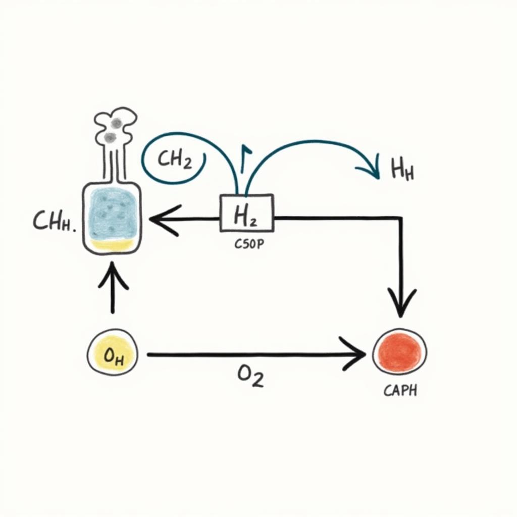 Minh họa nguyên lý Le Chatelier trong phản ứng hóa học lớp 11